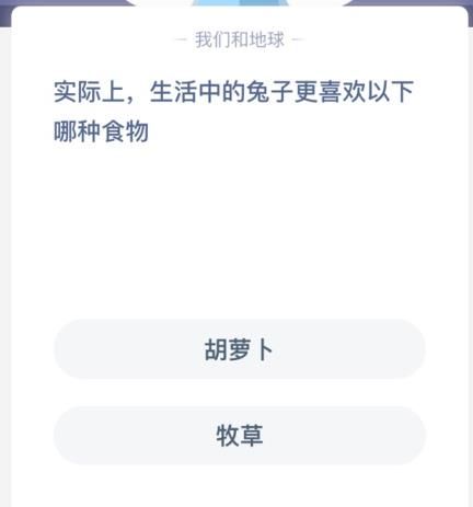 兔子喜欢吃什么食物 兔子更喜欢吃胡萝卜还是牧草蚂蚁庄园今日答案[多图]图片2