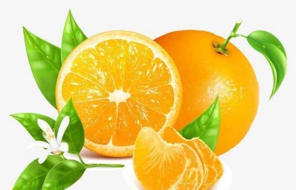 狗狗可以吃橘子吗？宠物医生发话了