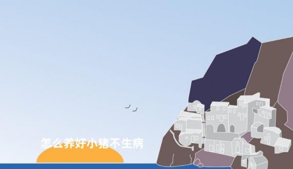怎么养好小猪不生病