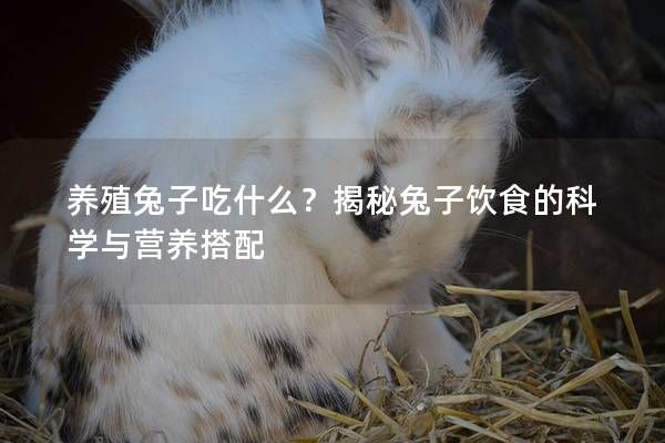 养殖兔子吃什么？揭秘兔子饮食的科学与营养搭配