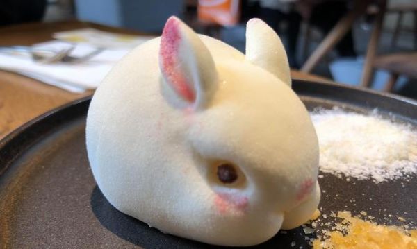 小兔子的合理饮食与营养摄入（了解小兔子的日常食量和食物类型，给它们提供均衡营养！）