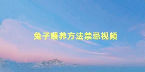 兔子喂养方法禁忌视频