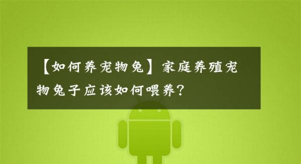 【如何养宠物兔】家庭养殖宠物兔子应该如何喂养？文章配图