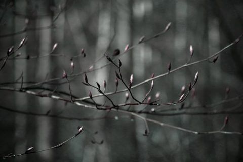 摄影师Mia Morvan自然动人的生态风光摄影作品