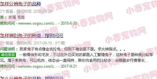 怎么辨别兔子的种类