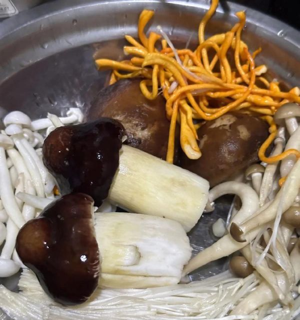 狗狗的饮食保健（为你的爱犬选择最佳营养汤品）