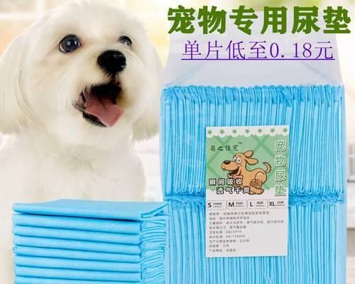 狗狗流产后的饮食与用药指南（宠物保健知识）