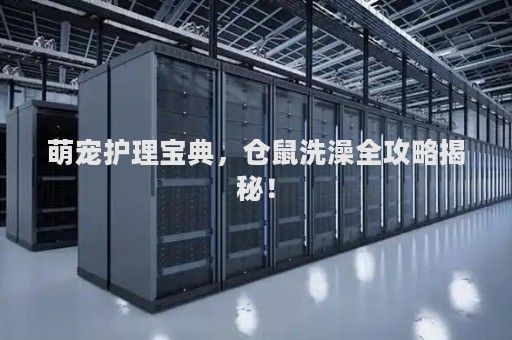 萌宠护理宝典，仓鼠洗澡全攻略揭秘！