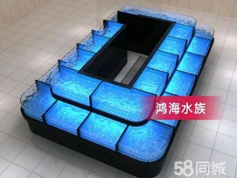 透亮鱼缸制作·宠物用品/食品，大型鱼缸 养殖缸鱼池海鲜缸 高档酒店观赏鱼缸