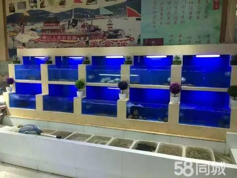 海吉星海鲜池·出售鱼缸，海鲜池，饭店，超市，家庭鱼缸，可定制
