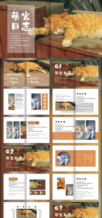 简约宠物萌宠画册电子相册PPT模板