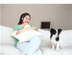 酷贝贝训犬师培训(图)-天津宠物狗训练基地-天津宠物狗训练