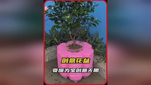万万没想到，小伙居然利用塑料桶制作出一款精美的创意花盆！