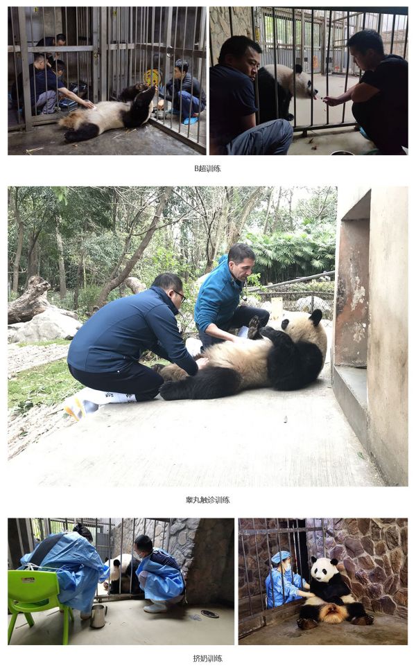 训练.jpg