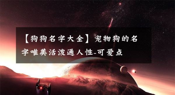 【狗狗名字大全】宠物狗的名字唯美活泼通人性-可爱点文章配图