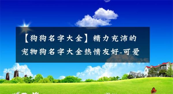 【狗狗名字大全】精力充沛的宠物狗名字大全热情友好-可爱点