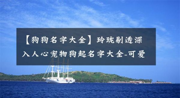 【狗狗名字大全】玲珑剔透深入人心宠物狗起名字大全-可爱点