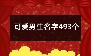 可爱男生名字493个