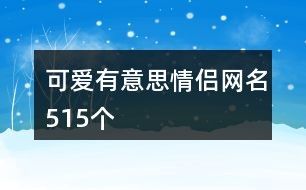 可爱有意思情侣网名515个
