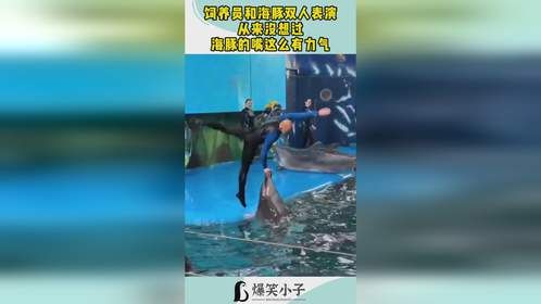 饲养员和海豚双人表演，从来没想过，海豚的嘴这么有力气！