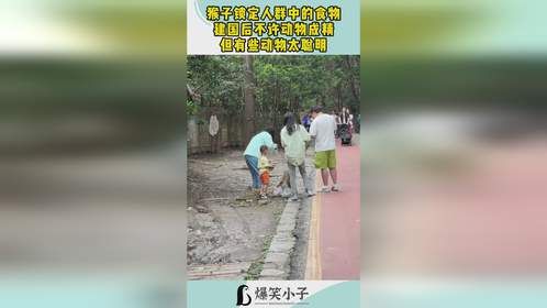 猴子锁定人群中的食物，建国后不许动物成精，但有些动物太聪明！