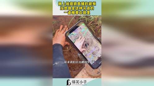 网上拍摄抓黄鳝的视频，没想到是这样完成的，一直被蒙在鼓里！