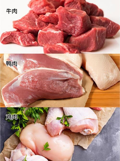宠物粮食制作（宠物粮食制作教程）
