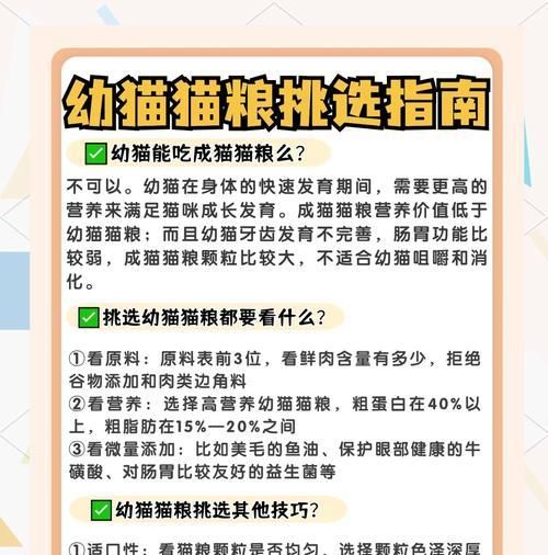 自己做猫粮的教程在哪里找？制作猫粮需要注意哪些事项？