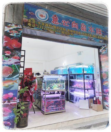 水族爱好者的天堂