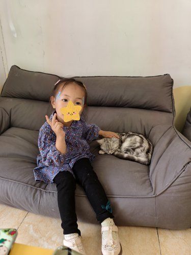 孩子的撸猫快乐