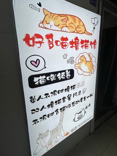 好多咪 高多猫