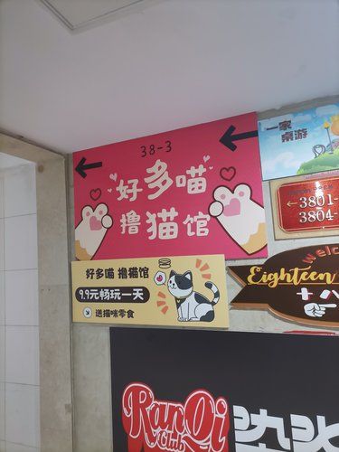 猫生活，慵懒得刚刚好