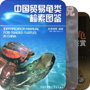 我的两爬书籍