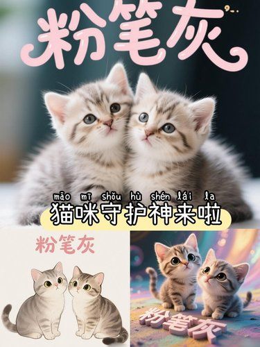 为什么说猫咪有9条命？