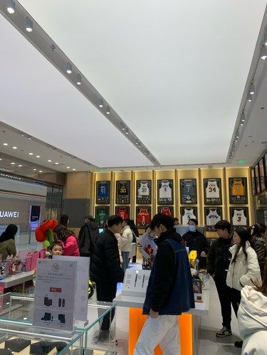 抢到一只告白西高地