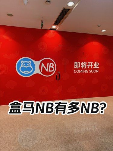 盒马NB到底是什么性质的店？有活动吗？