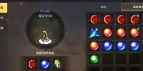 地下城与勇士起源宠物介绍