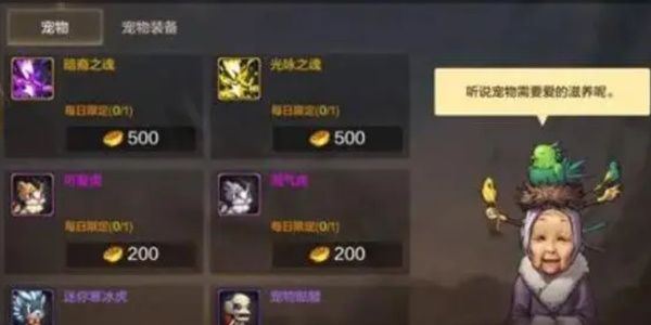 地下城与勇士起源宠物介绍