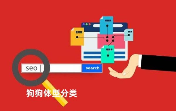 狗狗体型分类