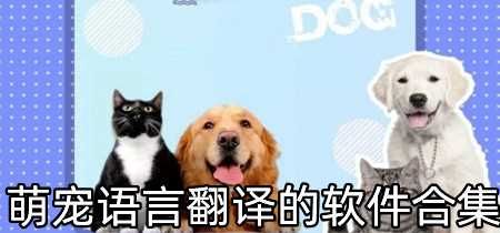 萌宠语言翻译的软件合集