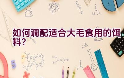 如何调配适合大毛食用的饵料？插图