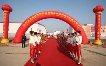 新店开业摆什么盆栽最好 猪笼草摆新店里能招财