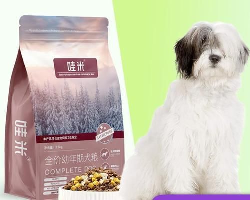 老年狗适合吃什么狗粮（选购老年狗狗粮的注意事项）