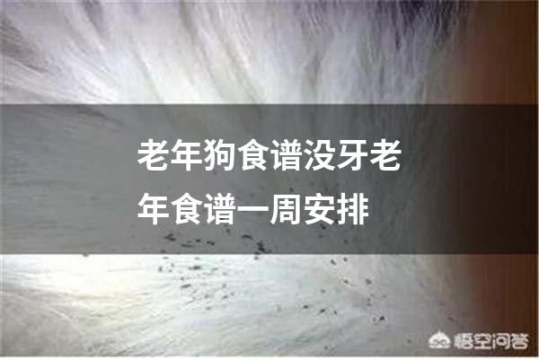 老年狗食谱没牙老年食谱一周安排