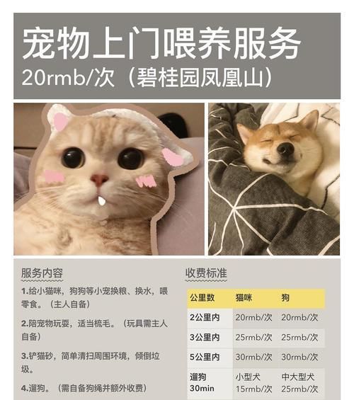 如何科学喂养老年宠物（宠物健康长寿的秘诀）
