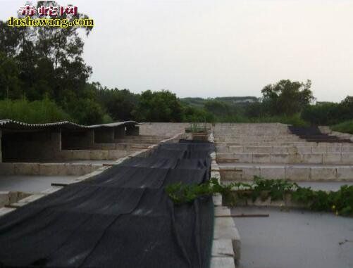 福建惠安养蛇场养蛇基地