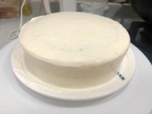 免烤豆腐蛋糕狗狗生日蛋糕的做法 步骤12