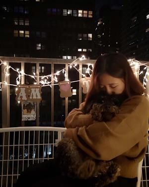 狗狗食谱:无面粉生日蛋糕的做法 步骤11