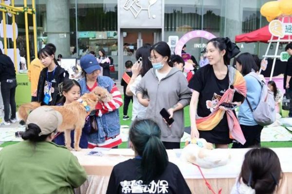 资料图。福建省素馨小动物保护中心提供