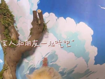 这个是啥水果呀,味道真好,鼠鼠我超爱!萌宠出道计划 宠物搞笑